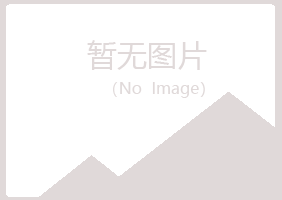 鲁山县听露工程有限公司